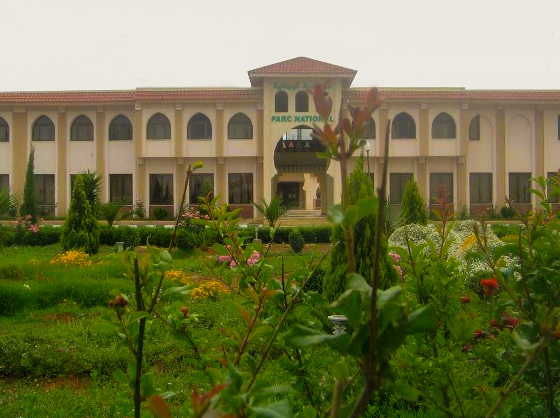 Lancement du nouveau site web